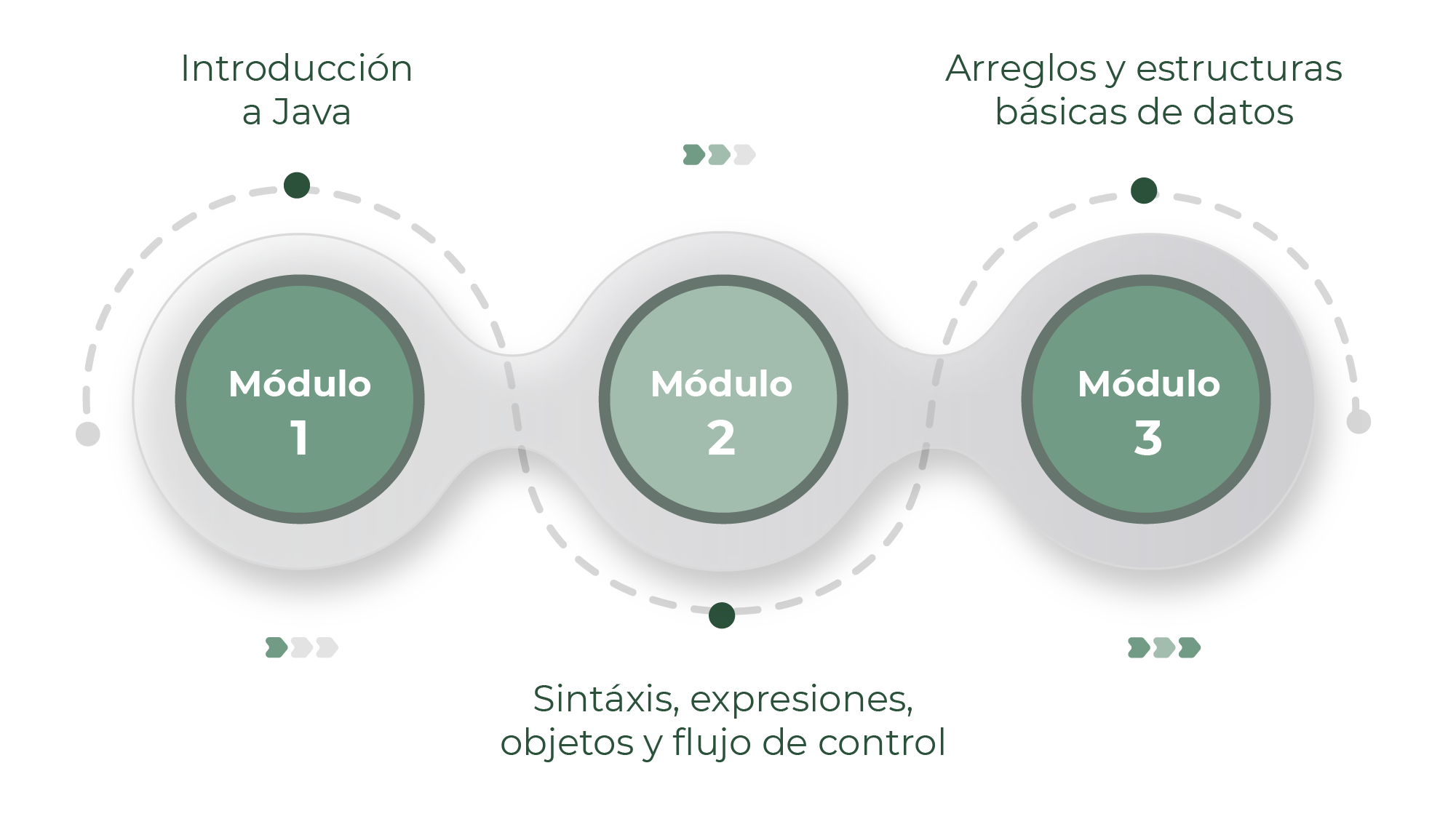 Estructura del curso